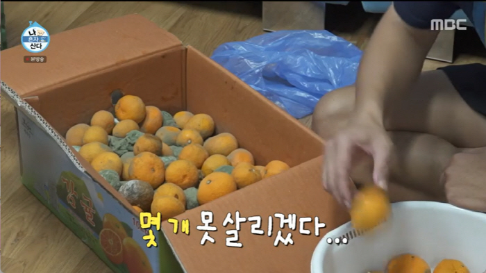 "기안84 업그레이드 버전=김대호 아나" 전현무 경악한 '기안의 하루' …