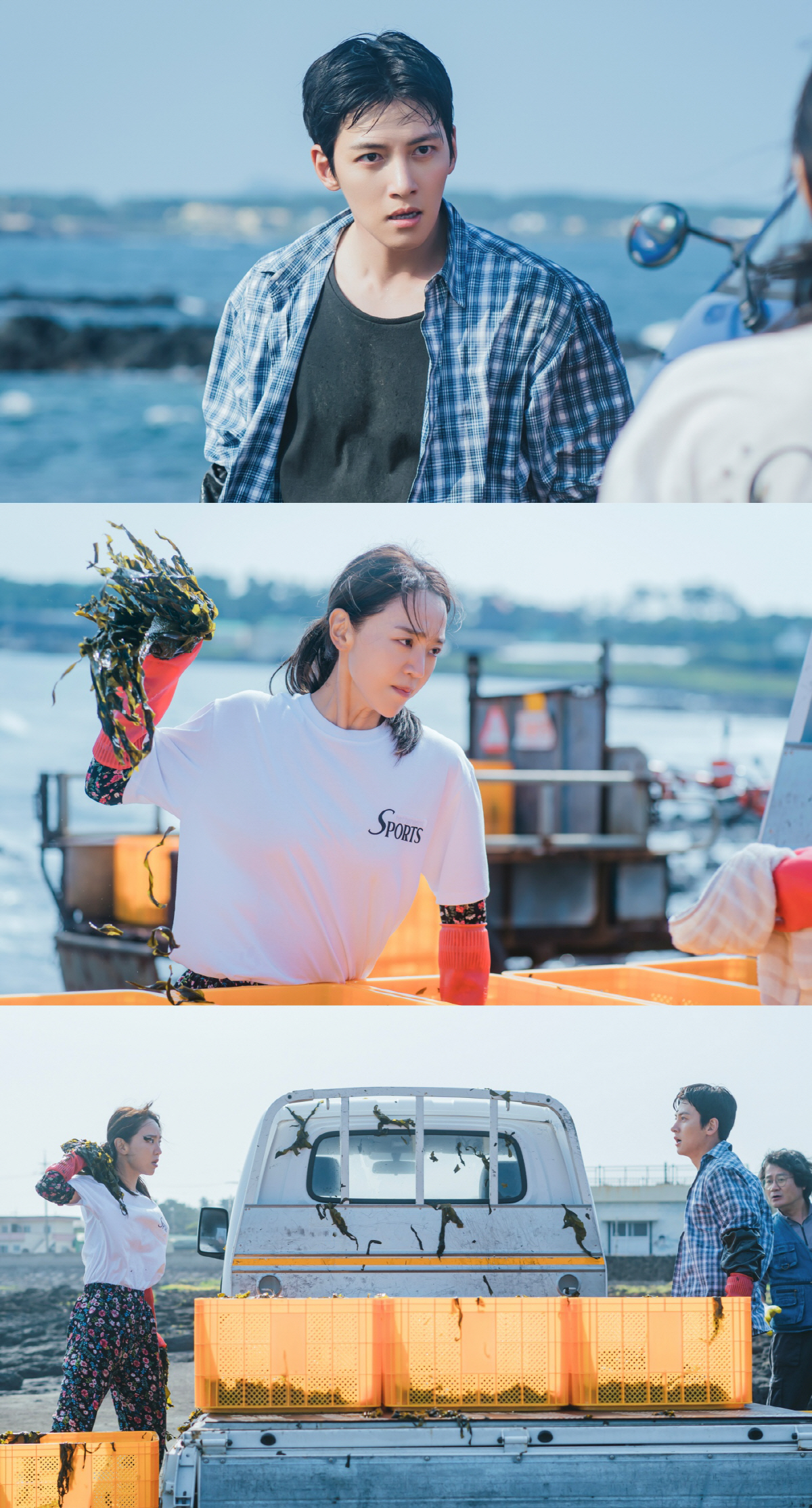 "도른자vs도른자"…'웰컴투 삼달리' 지창욱X신혜선, 미역 전쟁 발발