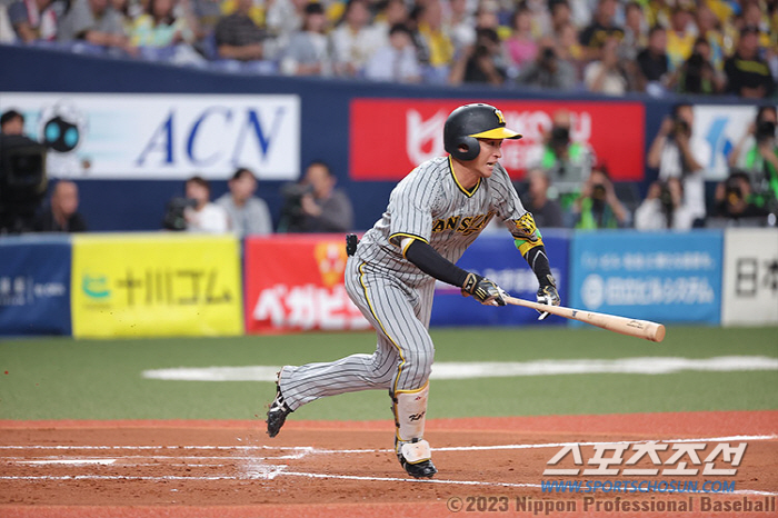 재팬시리즈 14안타 MVP…연봉 29억원 외야수 6년차 신기록, 한신 지…
