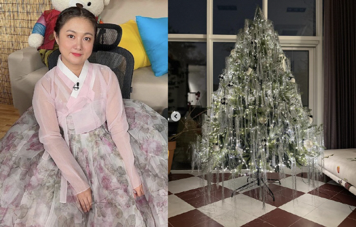 박나래, '55억 단독주택'에 설치한 대형 트리…전현무→한혜진도 '깜짝'