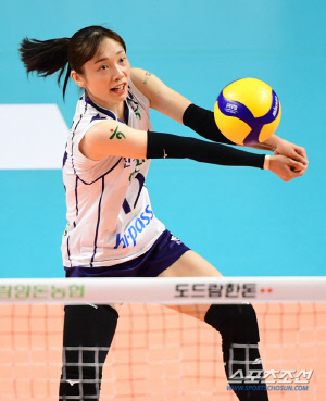'5연패' 디펜딩챔피언의 선택, '모험'보단 안정감 