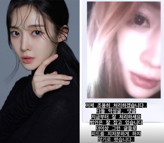 "범인 잘 잡고있다"…티아라 아름, 재혼상대 루머에 강력한 법적 조치 경…