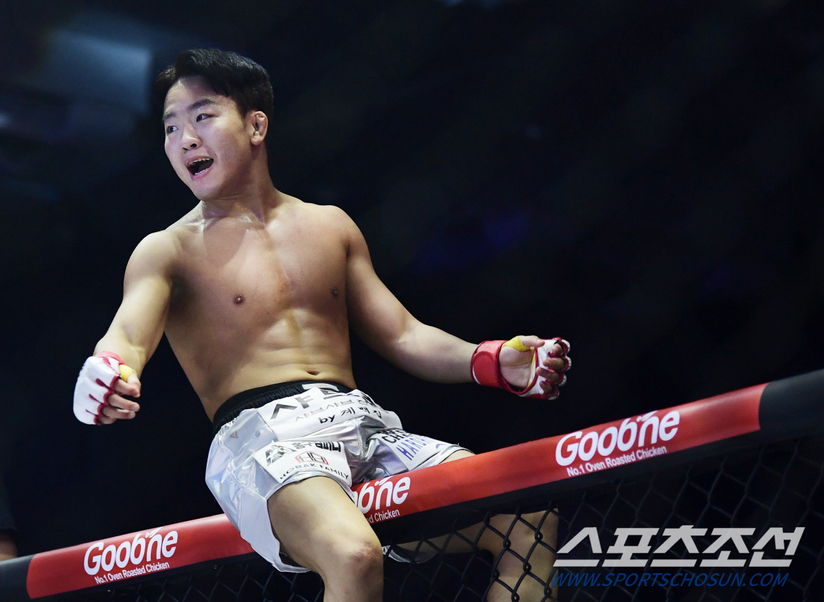21세의 하이킥 KO, 제주짱의 8초 실신 KO. 2023 격투기의 화려…