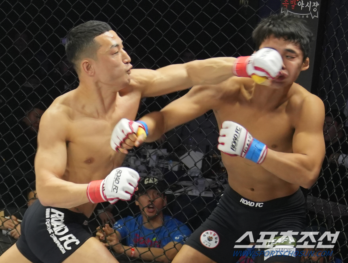 21세의 하이킥 KO, 제주짱의 8초 실신 KO. 2023 격투기의 화려…