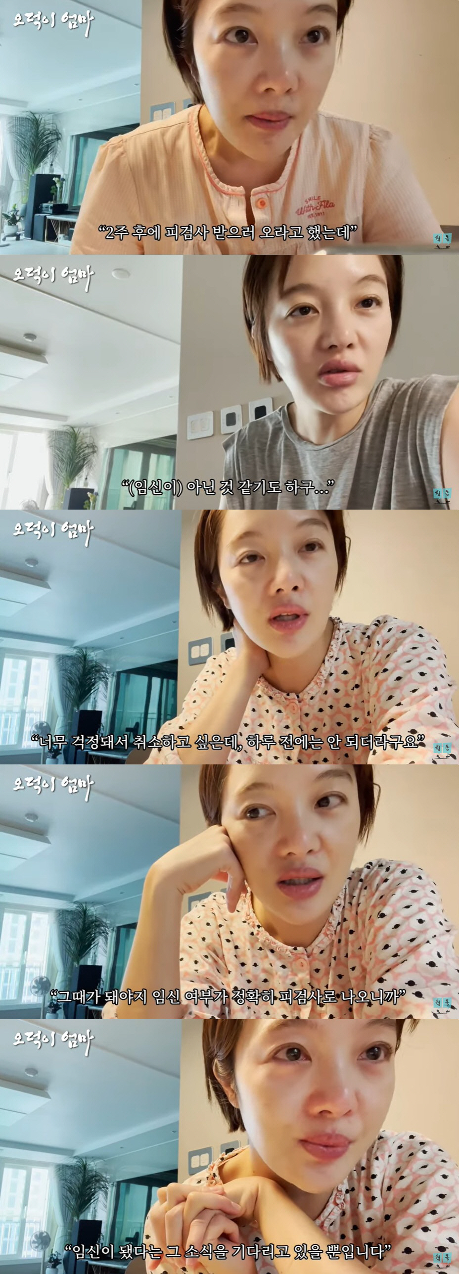 황보라, 눈물의 1% 임신 성공기…시父 김용건 "기분 얼떨떨해, 경사다"…