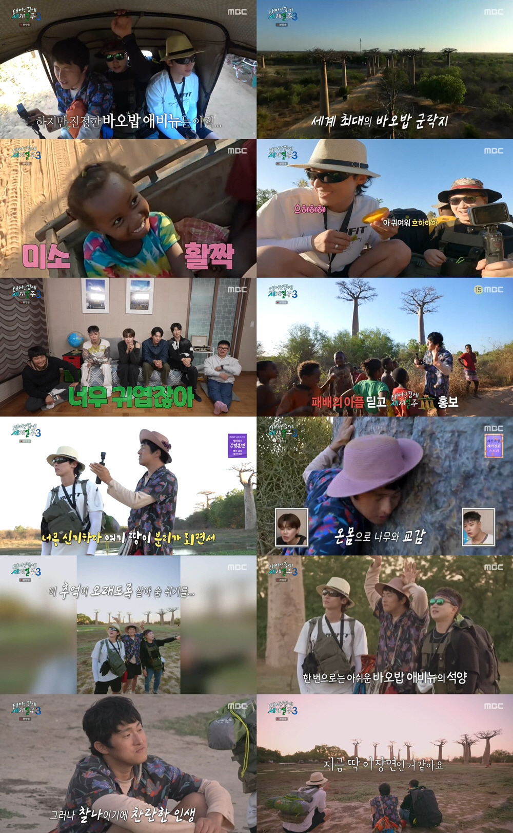 [SC리뷰]'태계일주3', 전시즌 포함 최고 시청률…'바오밥' 힐링 통했…