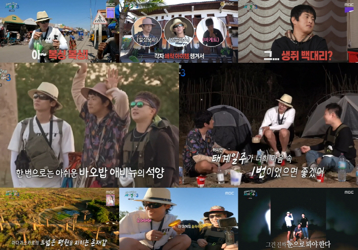 [SC리뷰]'태계일주3', 전시즌 포함 최고 시청률…'바오밥' 힐링 통했…