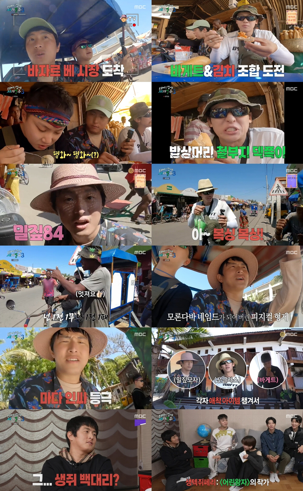 [SC리뷰]'태계일주3', 전시즌 포함 최고 시청률…'바오밥' 힐링 통했…