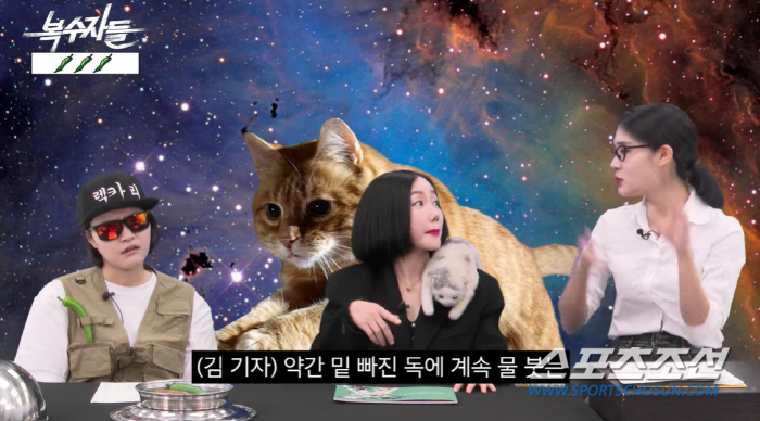 '왕진진 이혼' 낸시랭, '남현희·전청조 사건'에 "노코멘트"…"내가 뭐…