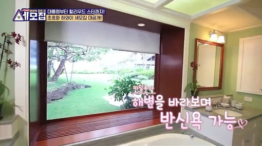 배용준♥박수진 부부부터 송중기까지..한달살기 TOP은 '하와이' 이유는(…
