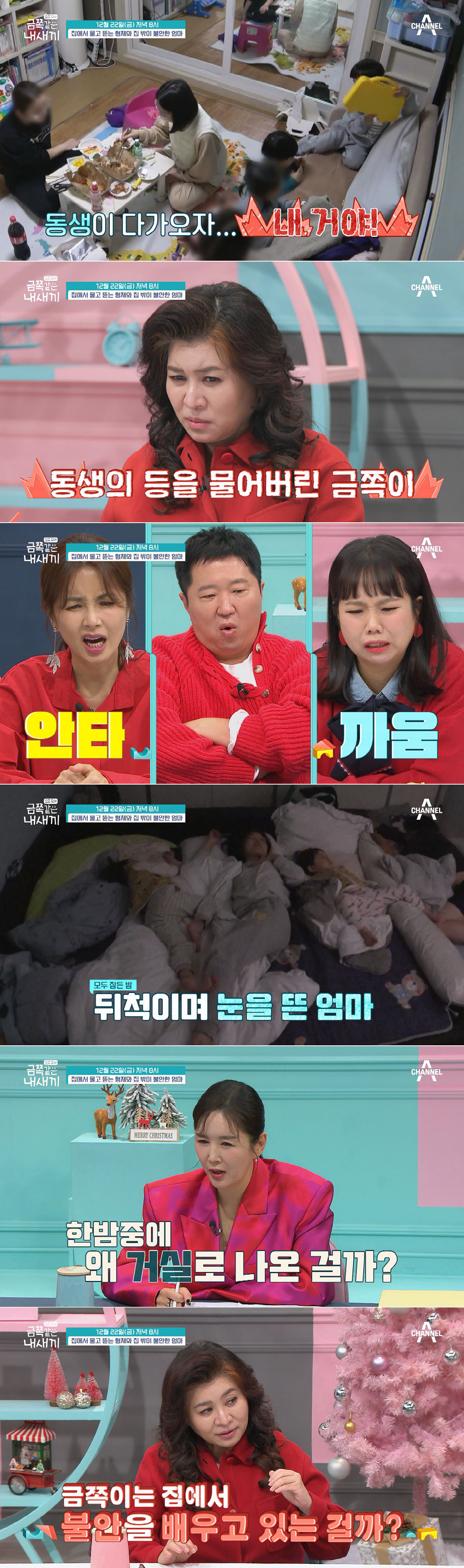 4살 형이 2살 동생 피부를 벗기다니…엄마까지 야밤에 이상 행동('금쪽'…
