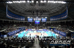 남자부 관중 23.5% 증가&쏟아진 역대 1호 기록…V리그 흥행 전선 이상 無