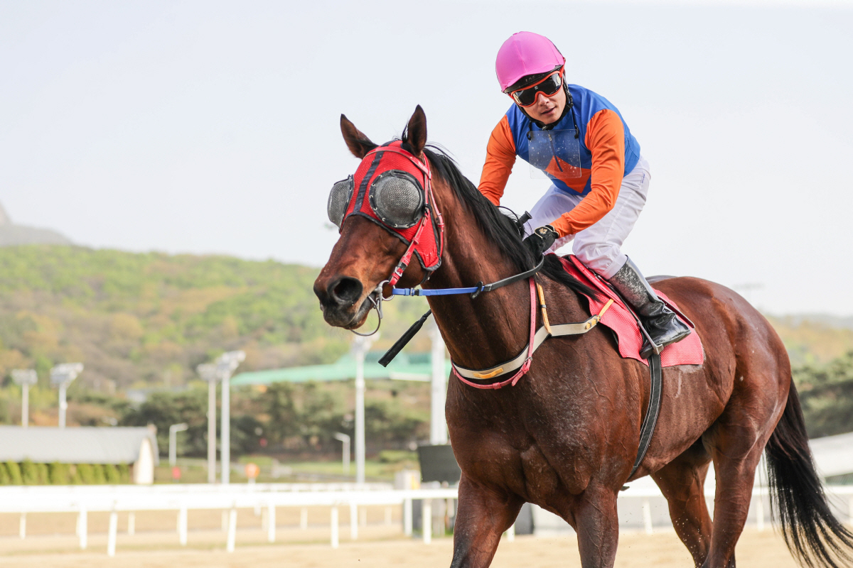 [경마]'진정성'을 향한 무한질주, 2023년 한국경마 10대 뉴스