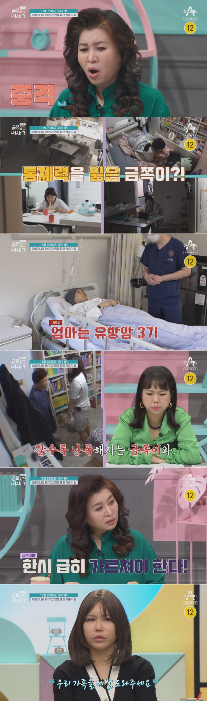 "할머니 살아있는 것도 나빠"…'금쪽같은 내새끼' 할머니에 24시간 폭언…