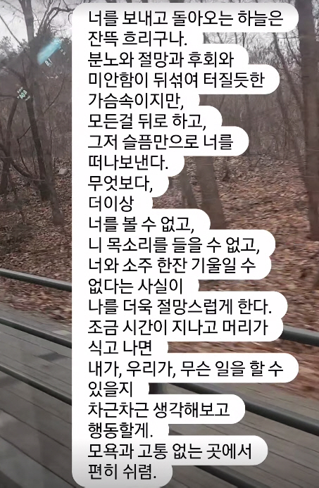 정우성·김의성, 故이선균 발인 후 먹먹한 심경 "편안함에 이르렀길" [S…