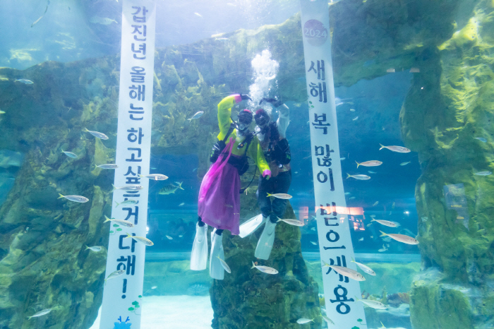 롯데월드, 2024년 신규 콘텐츠 확대 "고객 니즈 반영, 관람형 위주 …