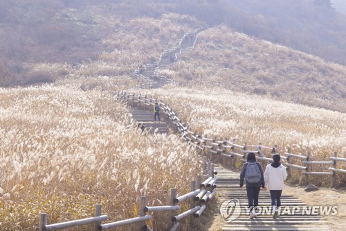 [연합뉴스 자료사진]