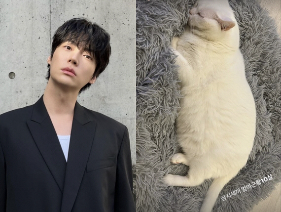 "'삼시세끼' 고양이 벌이 근황 10살" 나PD 대신 안재현이 전한 '만…