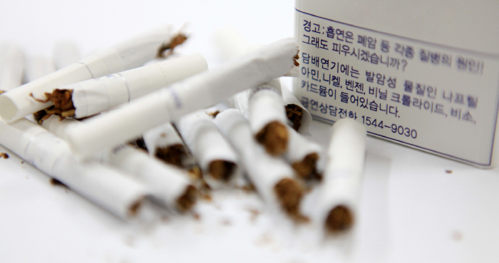 새해 금연 작심삼일? 올해는 성공해볼까
