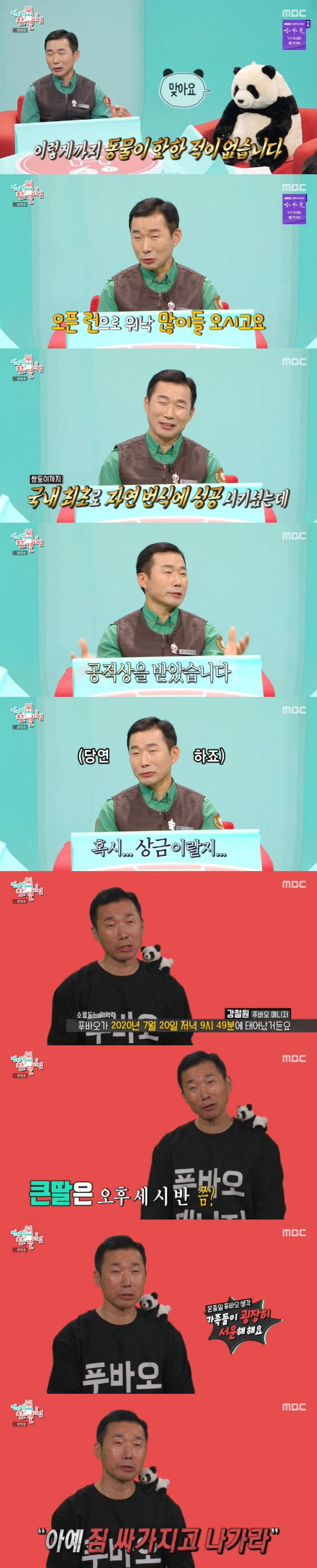 '전참시' 강철원 사육사 "푸바오 만나기 위해 오픈런...전 직원 성과급…