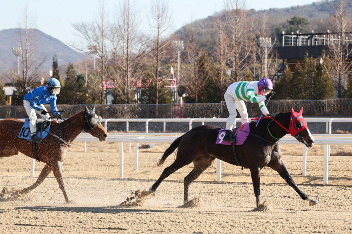[경마] 갑진(甲辰)년 경마 포문을 열다. 서울경마 첫 경주 '새해맞이 …