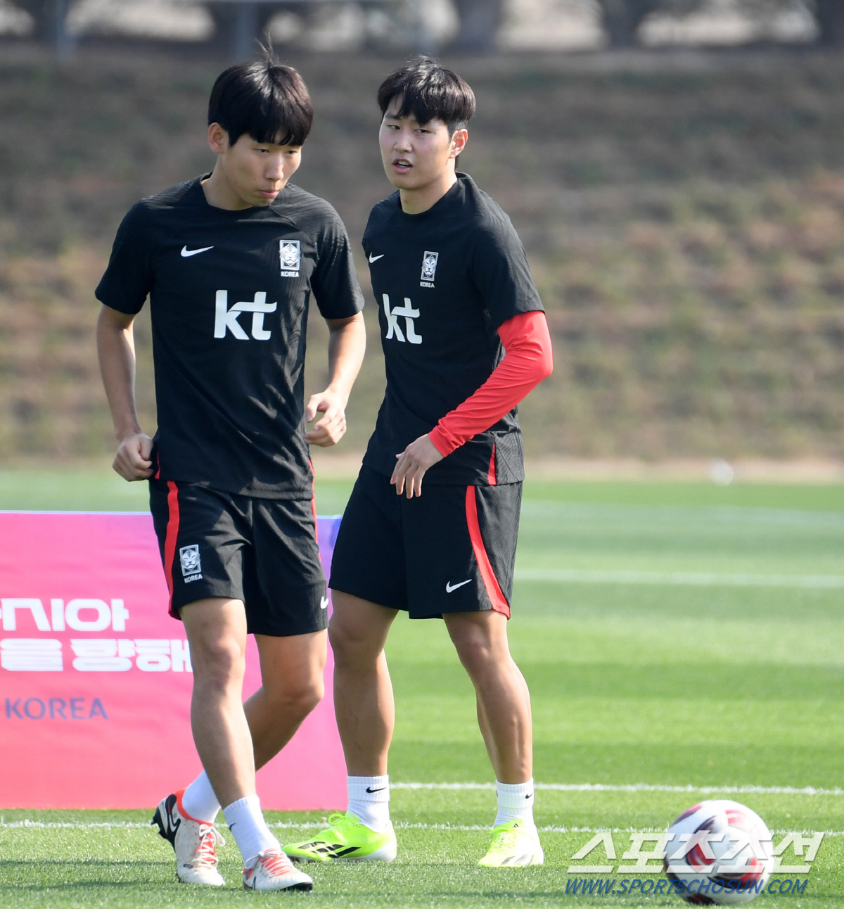 [카타르NOW]'원팀' 정몽규 회장→부상 김진수X황희찬 훈련 등장…'캡틴…