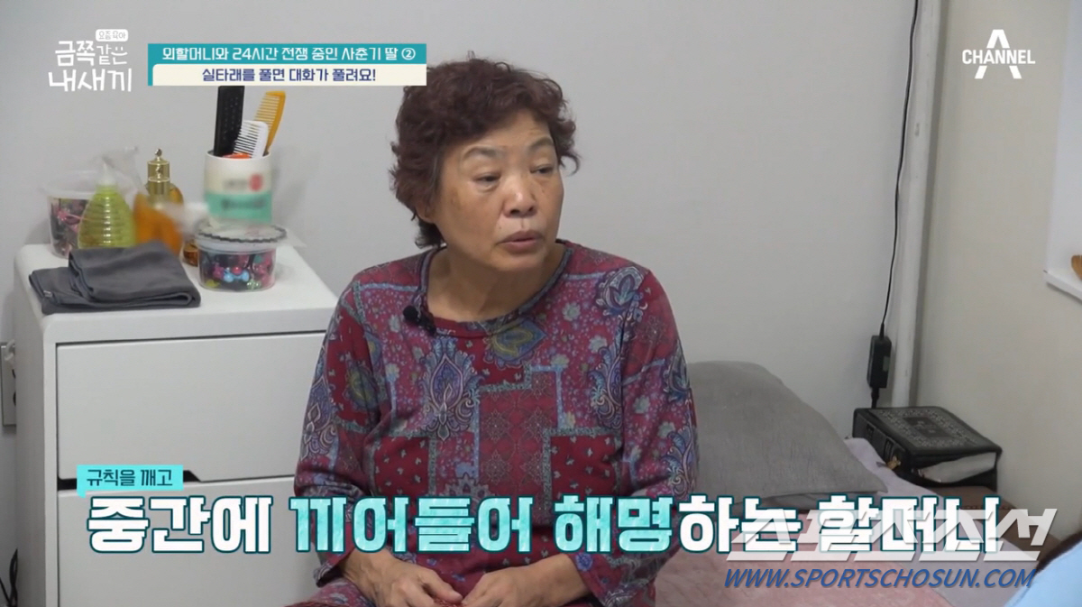 할머니에게 "저X" 욕하는 금쪽이…오은영, "못난 아이가 아니다" 뜻밖 …