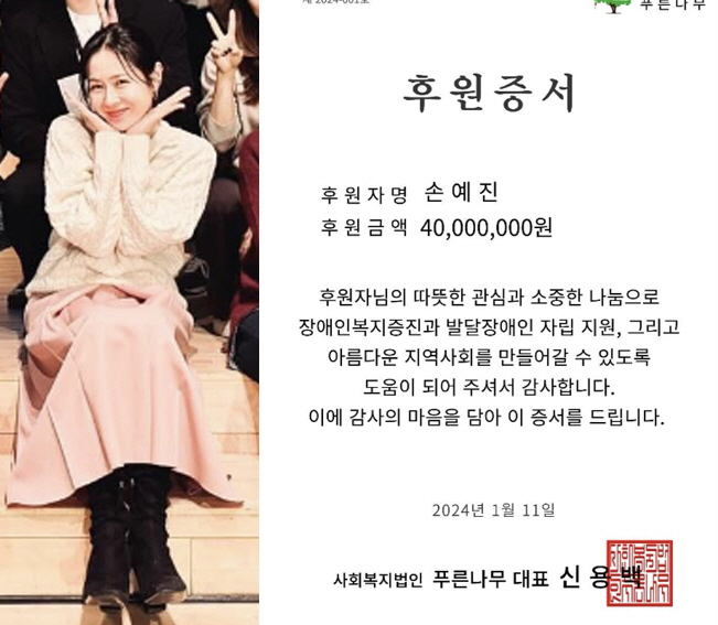 '현빈♥' 손예진, 잇따른 기부..1억5천 이어 4천만원 또 쾌척 "20…