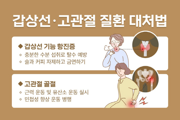 중장년 여성 유병률 높은 갑상선 질환·고관절 골절 주의