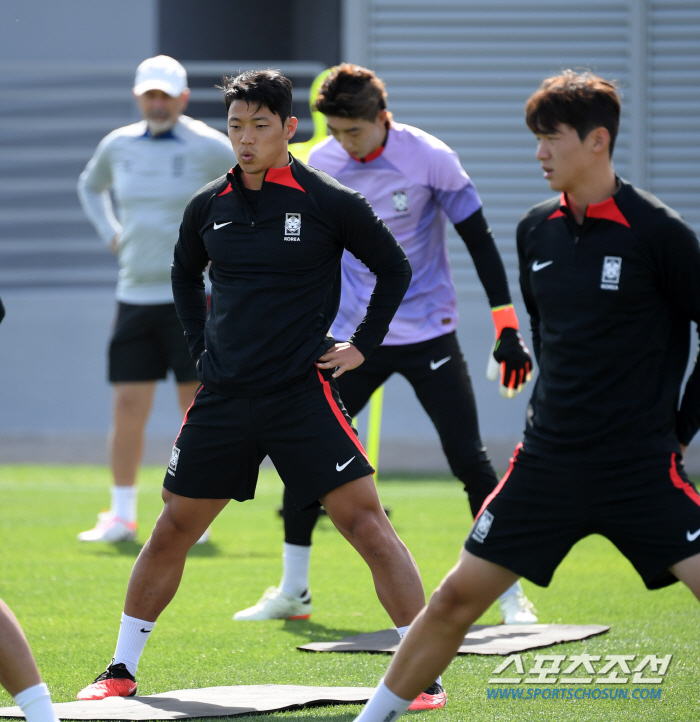[카타르 NOW]'캡틴' 손흥민 무릎 테이핑→황희찬 첫 축구화 착용, 다…