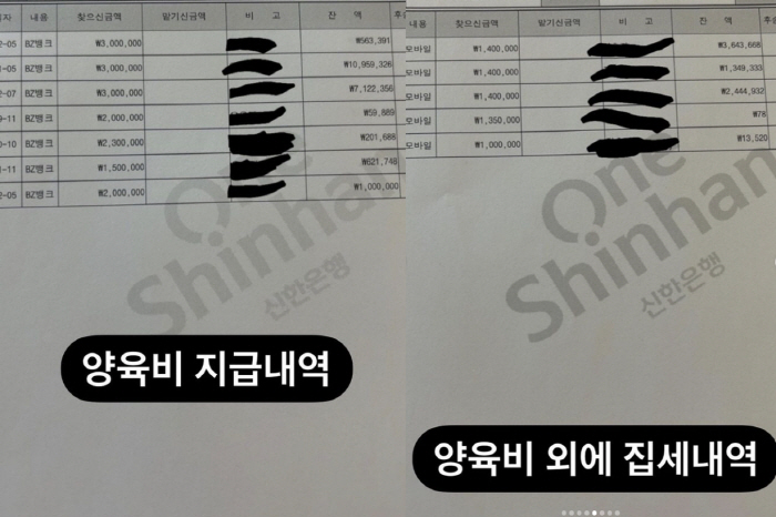 '김동성♥' 인민정 "양육비 미지급 죄송, 집세·자동차 리스비 2700만…