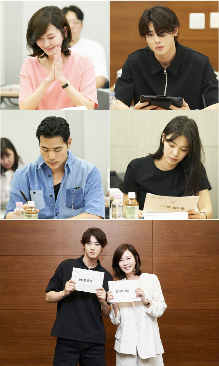 '6년만 컴백' 김남주-'또 MBC' 차은우, '원더풀 월드'서 만난다……