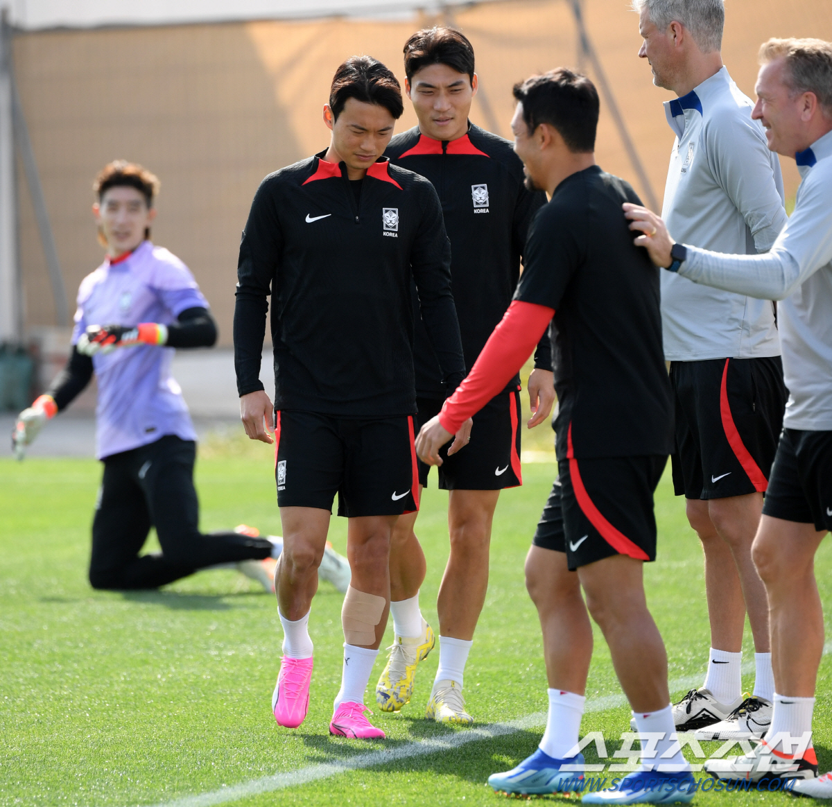 [카타르NOW]'부상' 김진수 드디어 축구화 착용, 김태환→양현준 컨디셔…