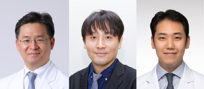 실명 환자 시력 회복 돕는 소프트 인공망막 개발