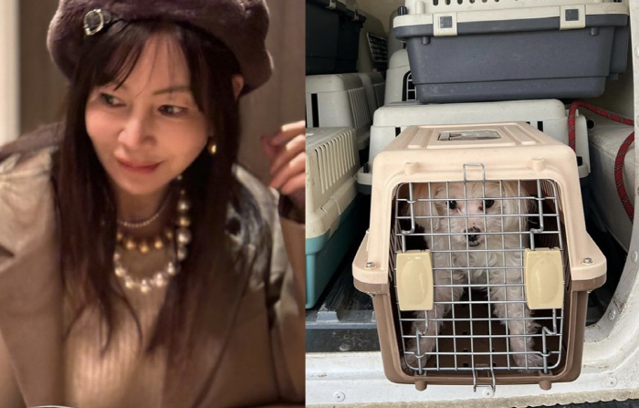 황신혜, 잃어버린 반려견과 극적 재회 "동물보호소 이동 중 찾아"