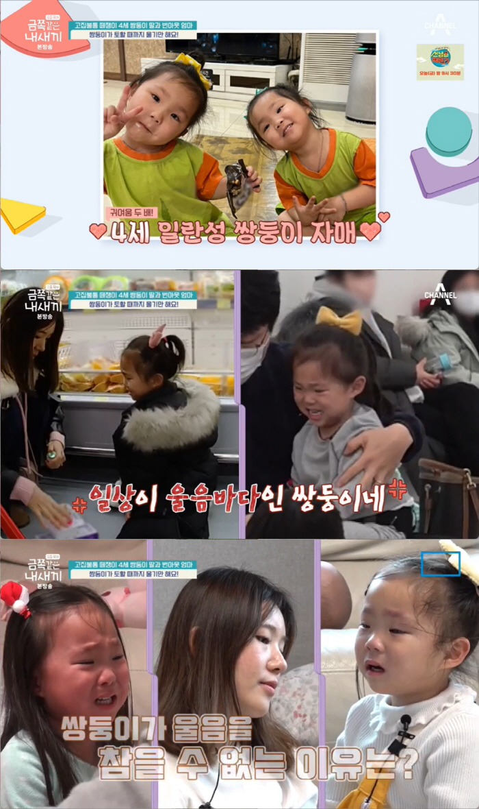 오은영 박사가 만든 기적.."4살 쌍둥이 도파민 중독→ADHD 유발" 솔…