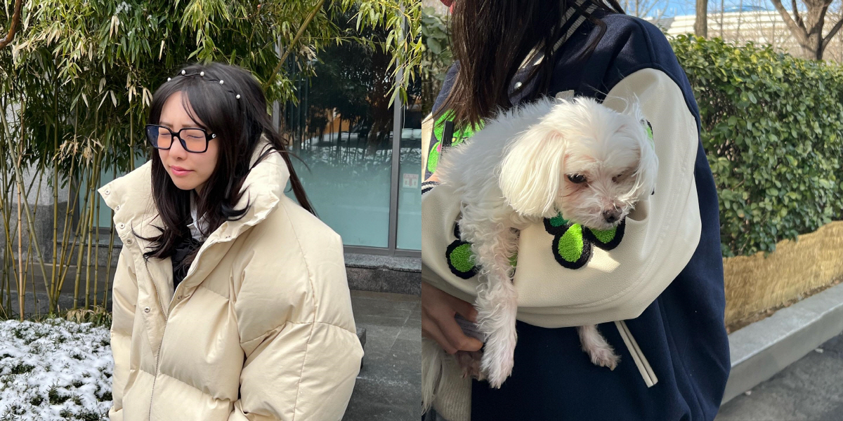 '황신혜 딸' 이진이, 실종된 반려견 찾고 퉁퉁 부은 눈 "아직도 손 떨…