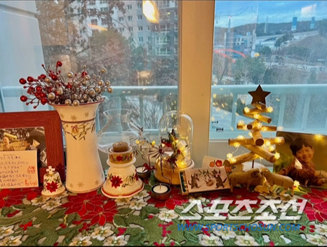 '김가온과 이혼' 강성연, 이사한 집 공개…아들과 함께 일상의 행복