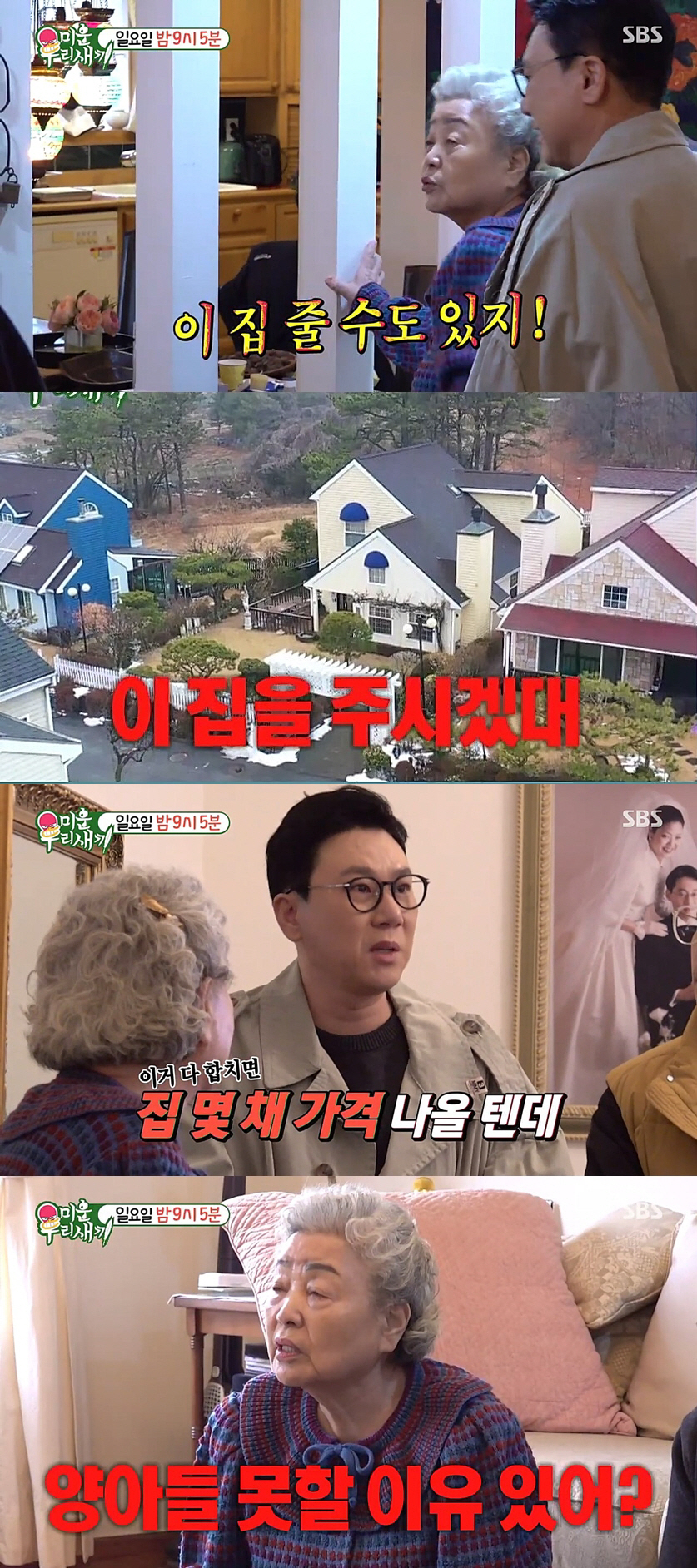 "이 집 줄 수도 있지"..강부자, 이상민 양아들 삼았다 '대저택까지 물…