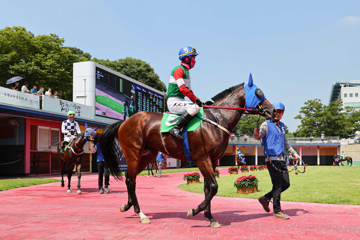 [경마] 28일 격돌! 렛츠런파크 서울 1등급 경주마들의 1600m 대결