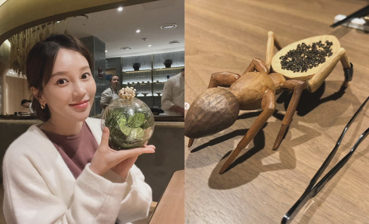 '임신' 아유미, '개미 요리'로 제대로 몸보신 "난생 처음 경험해봐"