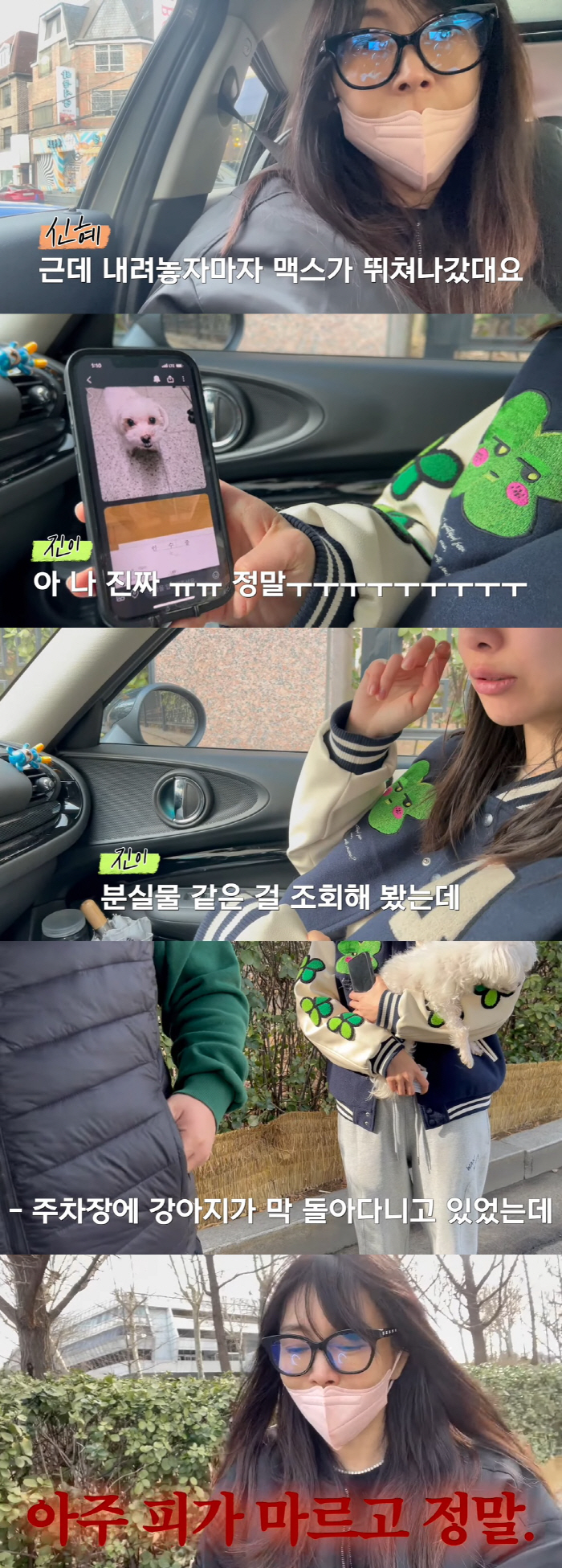 "안락사될 뻔" 황신혜, 실종된 반려견 찾기 위해 경찰서까지…극적 재회에…