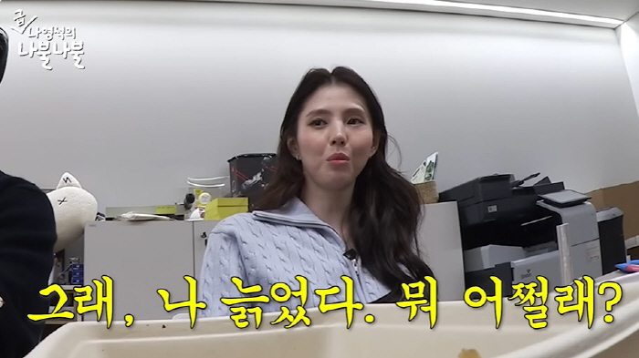 "무심코 던진 돌에 죽을수도"...★향한 '악플', 경각심이 필요한 때 …