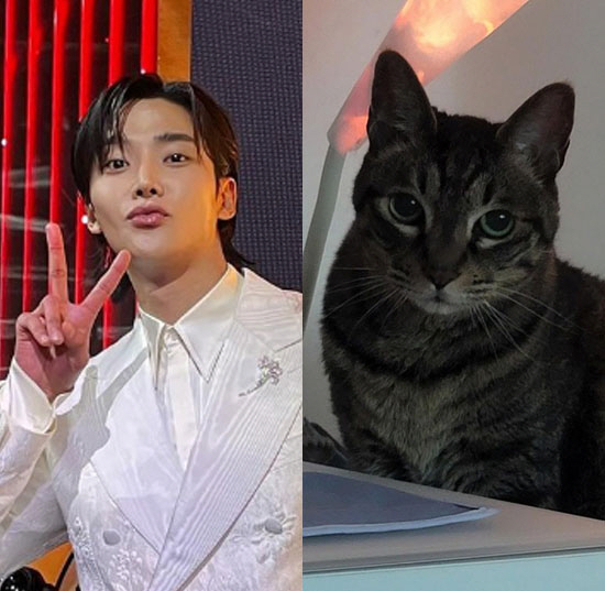 로운, 18년 함께한 반려묘와 이별 "유년 시절을 함께해줘 고마워"