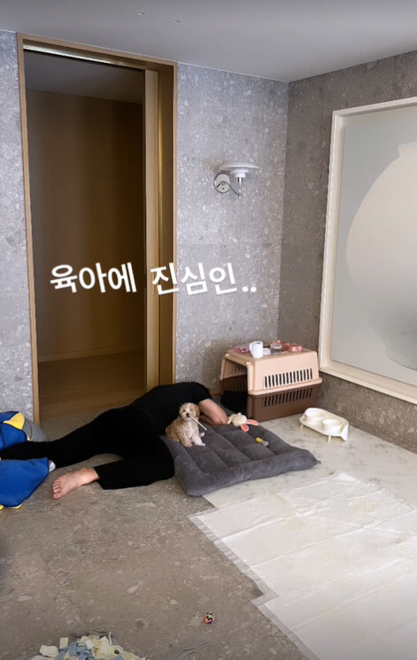 한예슬, ♥10세 연하 남친과 현실 육아 중? "육아에 진심인.."
