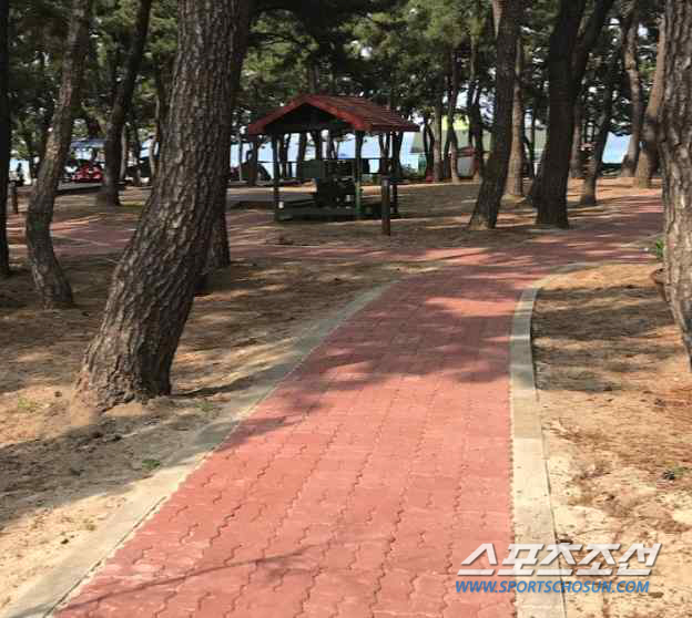 '모두의 올림픽' 강원2024 무장애 '열린 관광지'를 소개합니다!