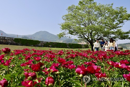 [청도소식] 관광명소 스탬프 인증하면 선물 제공