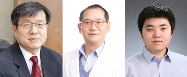국내 시궁쥐서 E형 간염바이러스 첫 발견…임산부 감염 취약