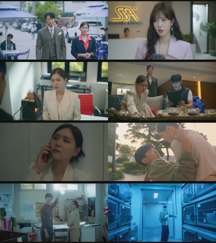 김지은, 동물 실험 브랜드에 영혼 팔다? "정의로울 거면 마케팅 하지마"…