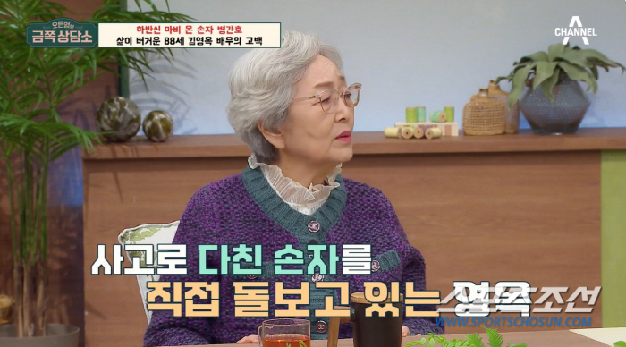 '88세' 김영옥, 8년째 음주운전 사고 손자 간병 '최초 고백'…"우리…